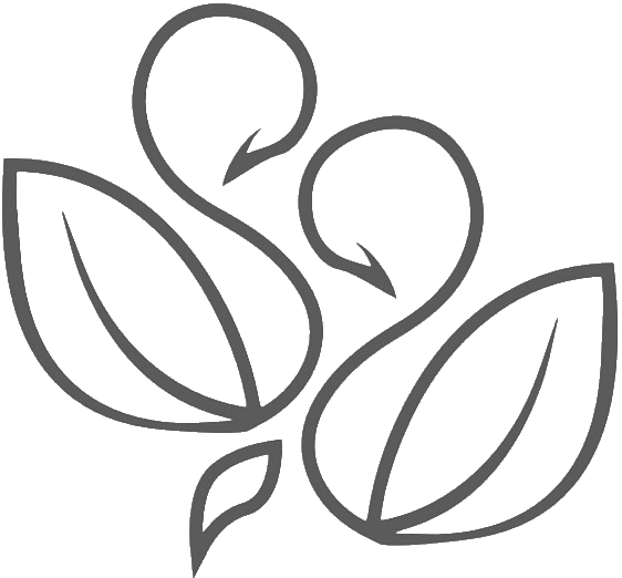 Isabelle Naturelle Logo